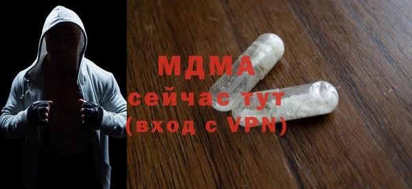 шишки Бородино