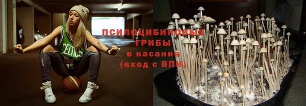 ПСИЛОЦИБИНОВЫЕ ГРИБЫ Бронницы