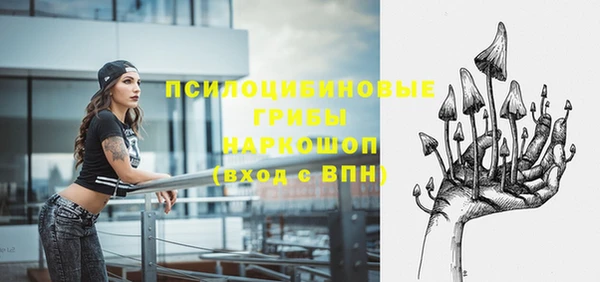 шишки Бородино