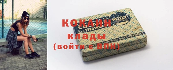 шишки Бородино