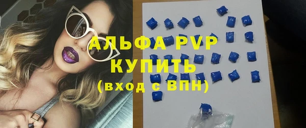 шишки Бородино