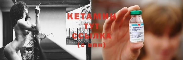 шишки Бородино