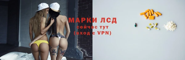 шишки Бородино