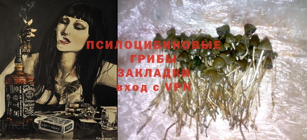 шишки Бородино