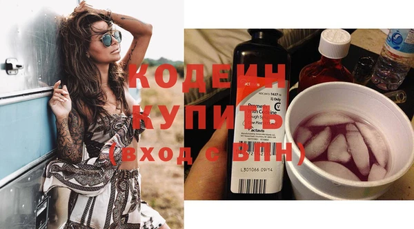 шишки Бородино
