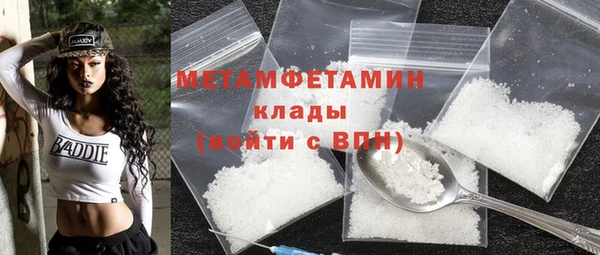 шишки Бородино