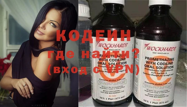 шишки Бородино
