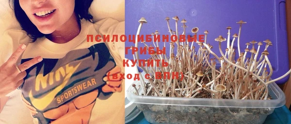 ПСИЛОЦИБИНОВЫЕ ГРИБЫ Бронницы