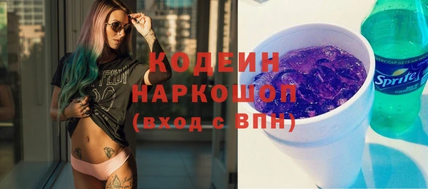шишки Бородино