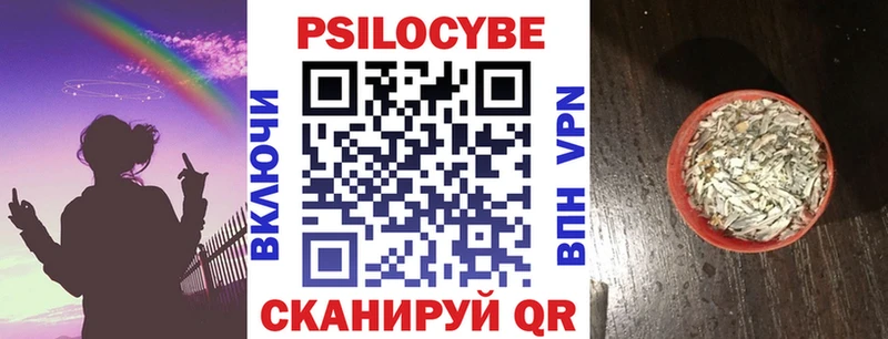 Купить где  Новоульяновск  Галлюциногенные грибы Psilocybe 